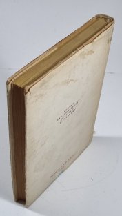 Češi a Slováci v revolučním Rusku 1917-1920