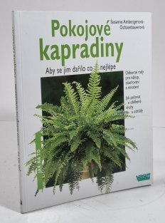 Pokojové kapradiny