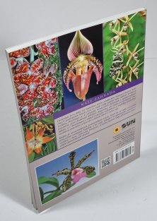 Orchideje