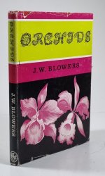 Orchids - 