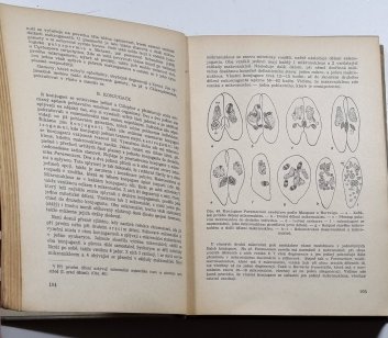 Protozoologie