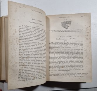 Lehrbuch der Histologie des Menschen und der Thiere