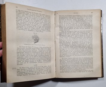 Lehrbuch der Histologie des Menschen und der Thiere