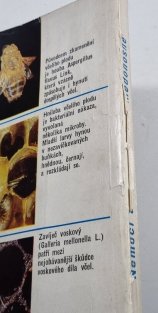 Nemoci a škůdci včely medonosné