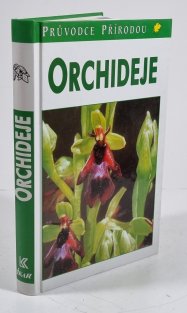 Orchideje