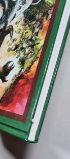 Kniha komiksů - Miloslav Havlíček