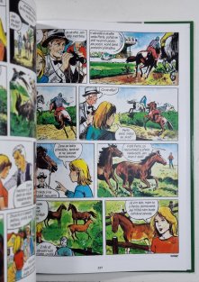 Kniha komiksů - Miloslav Havlíček