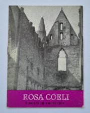 Rosa Coeli v Dolních Kounicích - 
