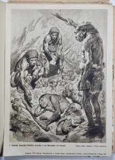 Neandertálci