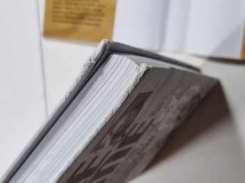 Ze mě: cesta blázna a vnitřní svět Jaroslava Duška