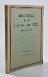 Rostlina pod drobnohledem - 