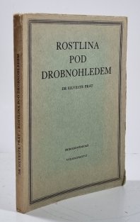 Rostlina pod drobnohledem
