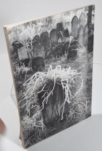 Židé a Morava 1995