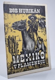 Mexiko v plamenech