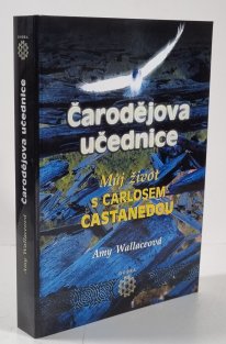 Čarodějova učednice