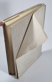 Zakořeňování a štěpování ovocných rostlin