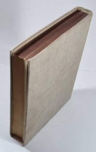 Gotická nástěnná malba v zemích českých I. 1300-1350