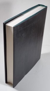 Die Bildhauerkunst der Tschechischen Sezession