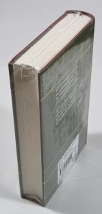 Höhlen tief im Wörterbuch - Tschechische Lyrik der letzten Jahrzehnte