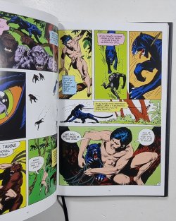 Tarzan : Éra Joea Kuberta 1