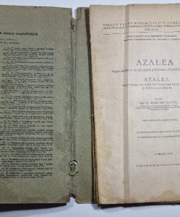 Azalea (Popis druhů a odrůd a jejich pěstování v Čechách a na Moravě)
