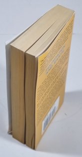 Foundation and Earth