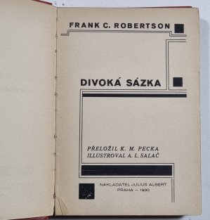 Divoká sázka