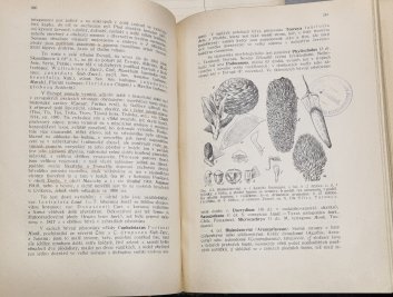 Botanika zemědělská II. - Botanika speciální (část první, druhá, třetí - Rostliny výtrusné a nahosemenné / prvoobalné / srostloplátečné a jednoděložné )
