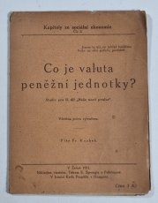 Co je valuta peněžní jednotky? - 