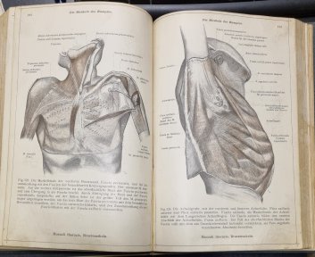 Anatomischer atlas I. für studierende und ärzte