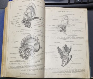 Anatomischer atlas I. für studierende und ärzte