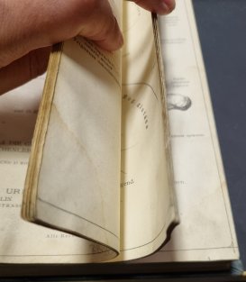 Anatomischer atlas I. für studierende und ärzte
