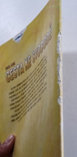 Anděl koní: Cesta ke svobodě