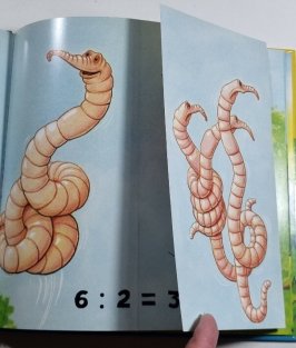 Chrobák Max (Delenie je hračka!)
