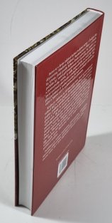 Hospodaření a rozvoj českých měst 1850-1938