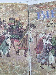 The Children´s Bible in Colour