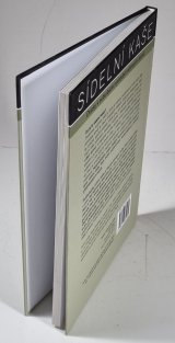 Sídelní kaše 