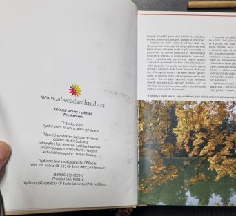 Listnaté stromy v zahradě