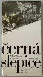 Černá slepice