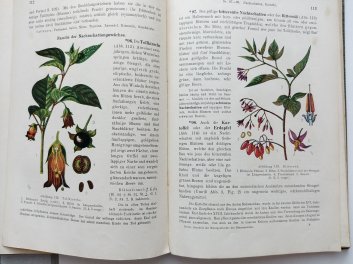 Grundrisz  der Naturgeschichte des Pflanzenreiches