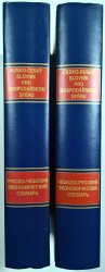 Česko-ruský a rusko-český pro hospodářskou sféru - Чешско-русский и русско-чешский экономическуй словарь