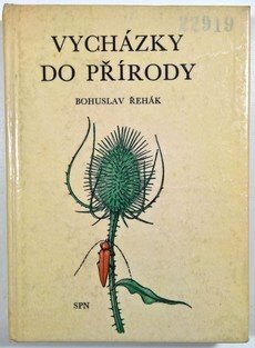 Vycházky do přírody