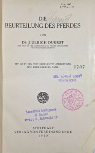 Die Beurteilung des Pferdes