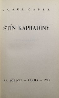 Stín kapradiny