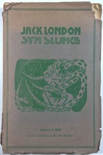 Syn slunce