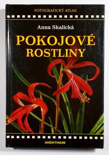 Pokojové rostliny