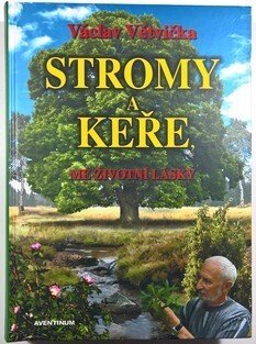 Stromy a keře