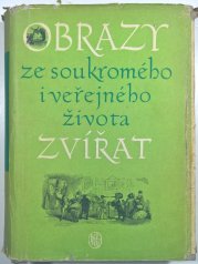 Obrazy ze soukromého i veřejného života zvířat - Studie současných mravů