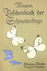 Taschenbuch der Schmetterlinge - 