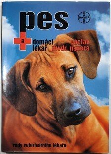 Pes a domácí lékař